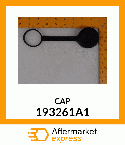 CAP 193261A1