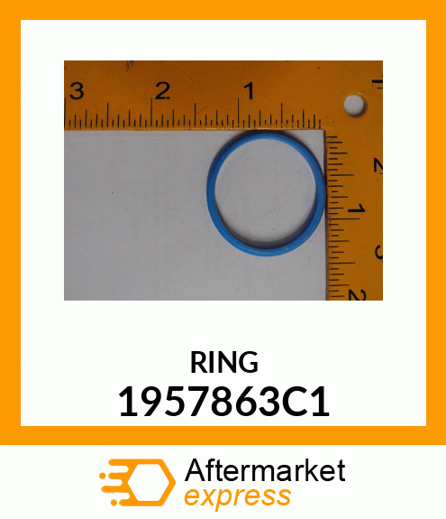 RING 1957863C1
