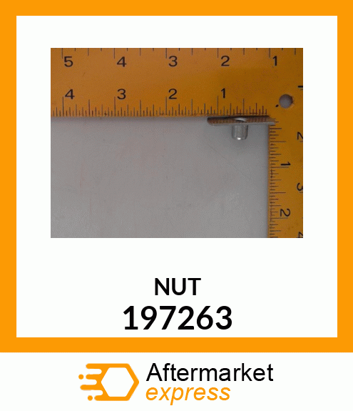 NUT 197263