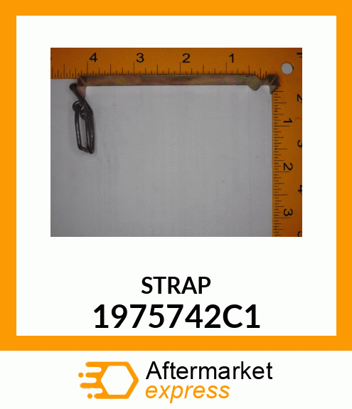 STRAP 1975742C1