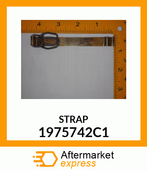 STRAP 1975742C1