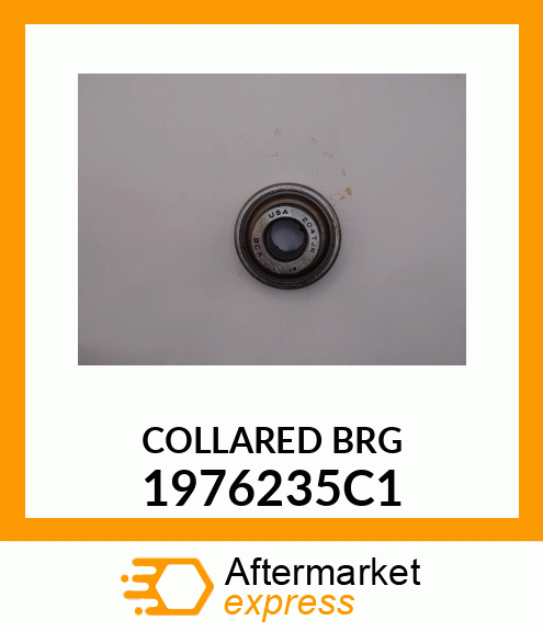 COLLARED BRG 1976235C1