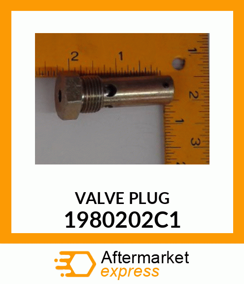 VALVE PLUG 1980202C1