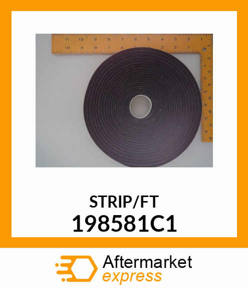 STRIP/FT 198581C1