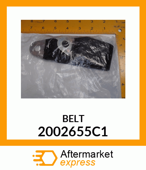 BELT 2002655C1