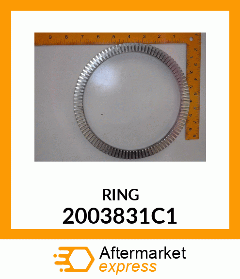 RING 2003831C1