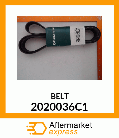 BELT 2020036C1