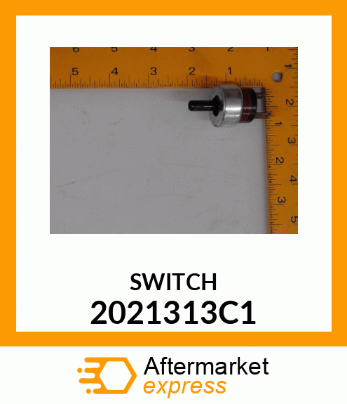 SWITCH 2021313C1