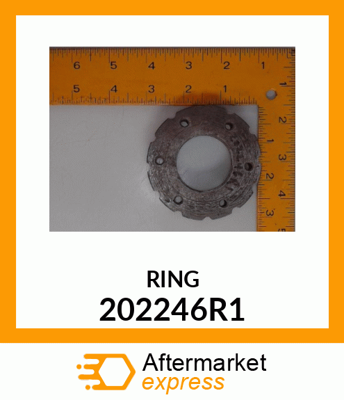 RING 202246R1