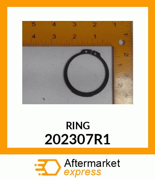 RING 202307R1