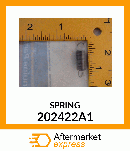 SPRING 202422A1