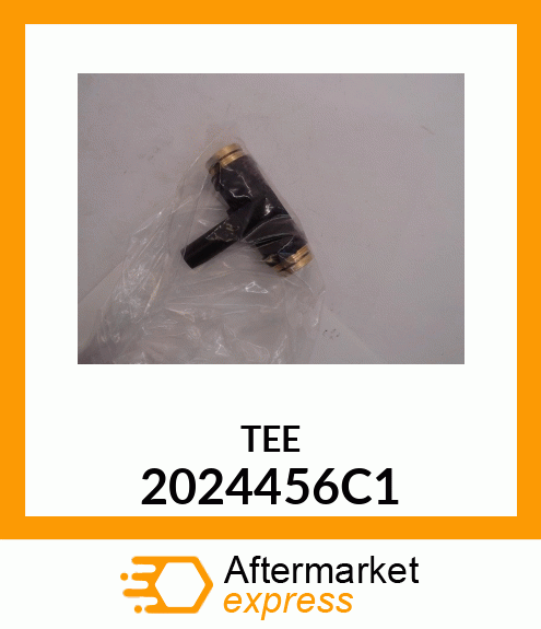 TEE 2024456C1