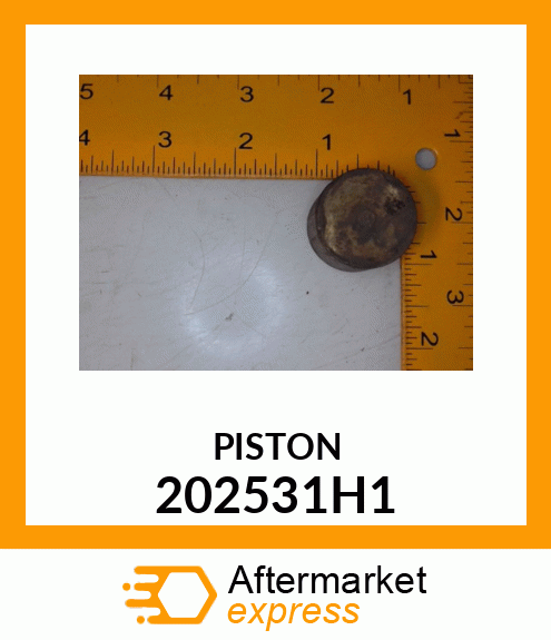 PISTON 202531H1