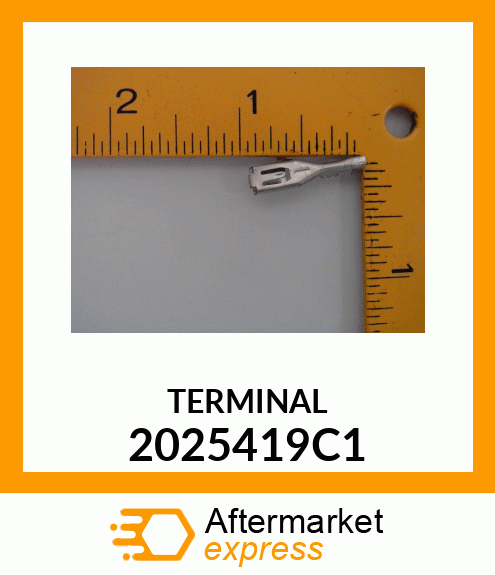 TERMINAL 2025419C1