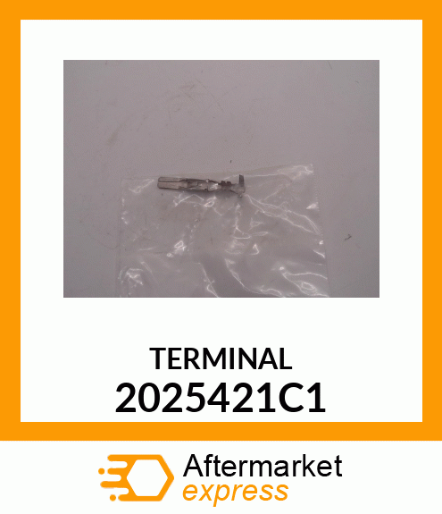 TERMINAL 2025421C1