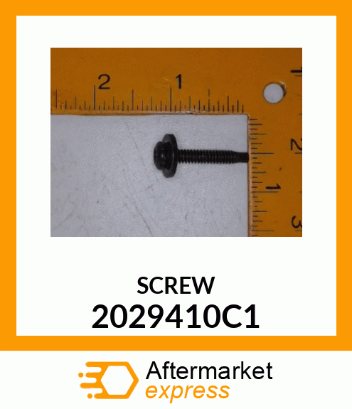 SCREW 2029410C1