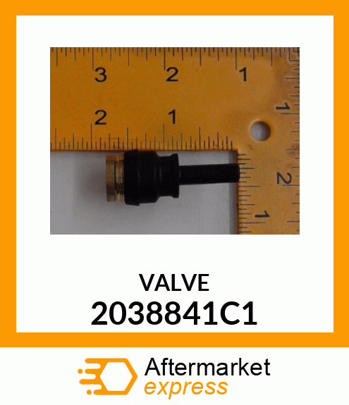 VALVE 2038841C1