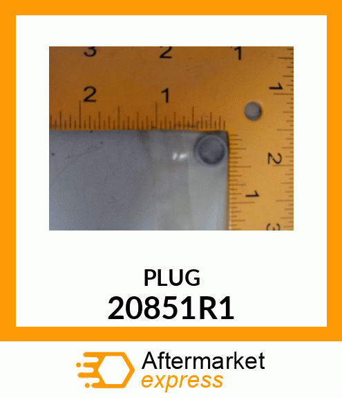 PLUG 20851R1