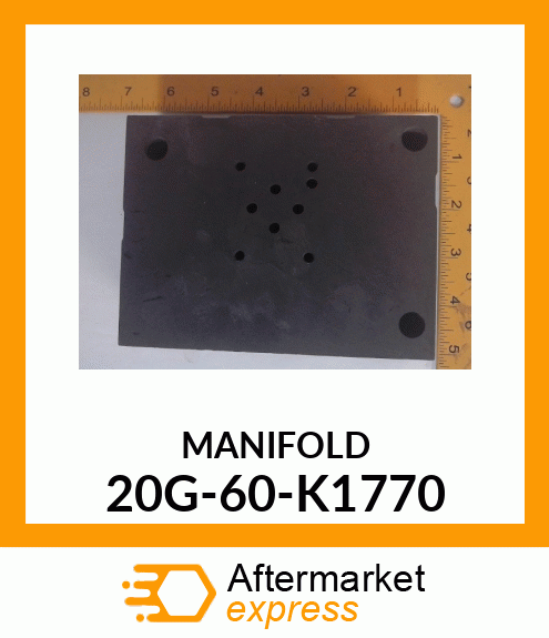 MANIFOLD 20G-60-K1770