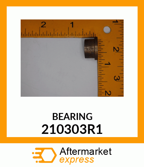 BEARING 210303R1