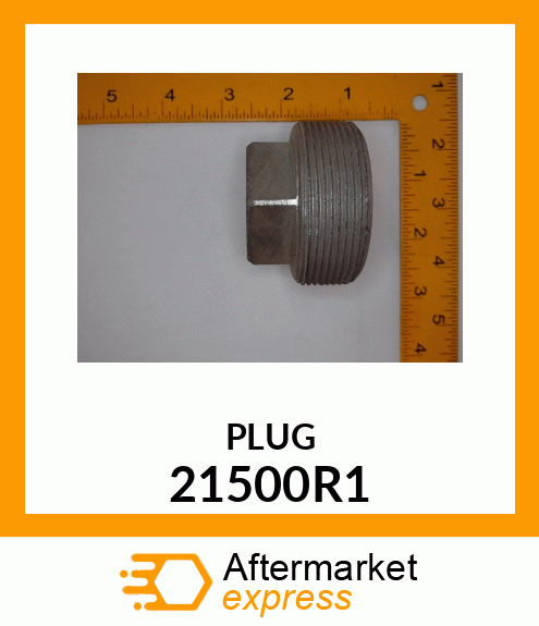 PLUG 21500R1