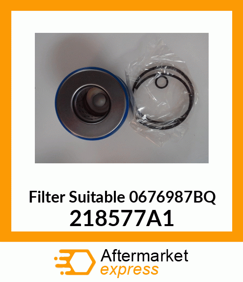 Filter Suitable 0676987BQ 218577A1