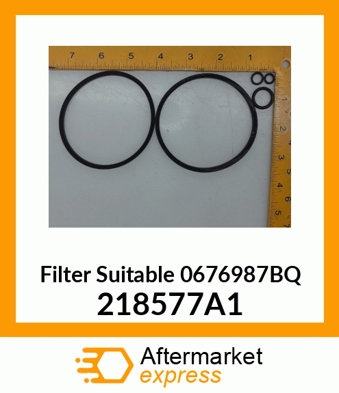 Filter Suitable 0676987BQ 218577A1