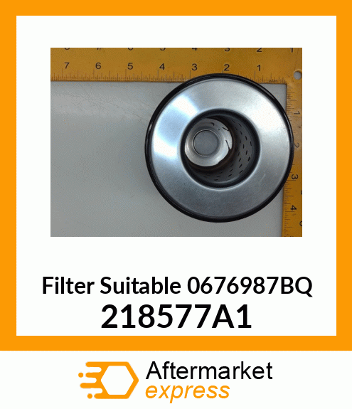 Filter Suitable 0676987BQ 218577A1