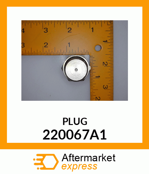 PLUG 220067A1