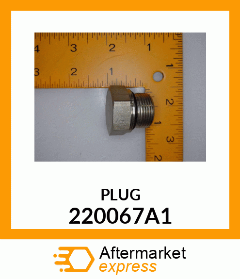 PLUG 220067A1