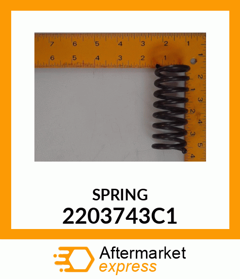 SPRING 2203743C1