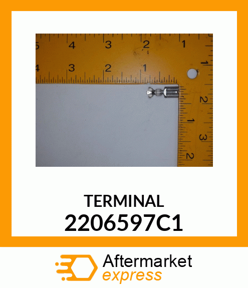 TERMINAL 2206597C1