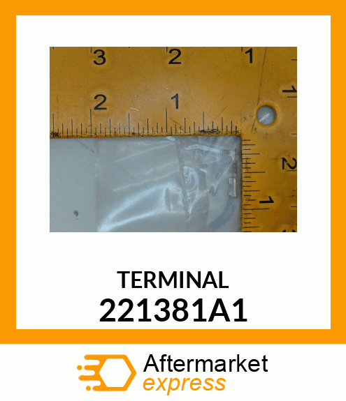 TERMINAL 221381A1