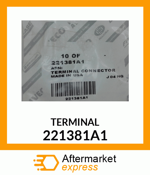 TERMINAL 221381A1