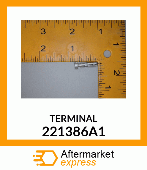 TERMINAL 221386A1