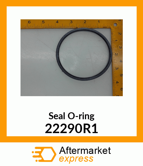 Seal O-ring 22290R1