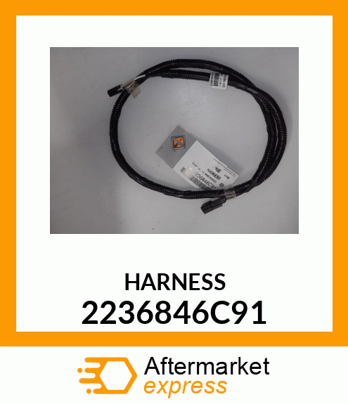 HARNESS 2236846C91