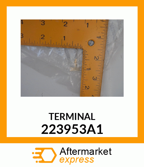 TERMINAL 223953A1