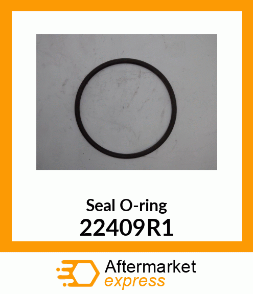 Seal O-ring 22409R1