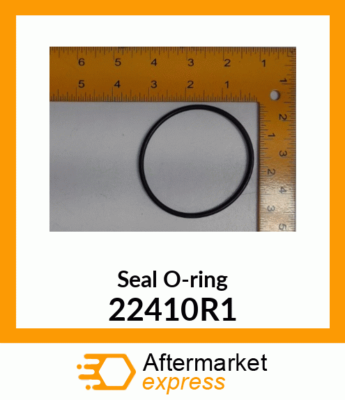 Seal O-ring 22410R1