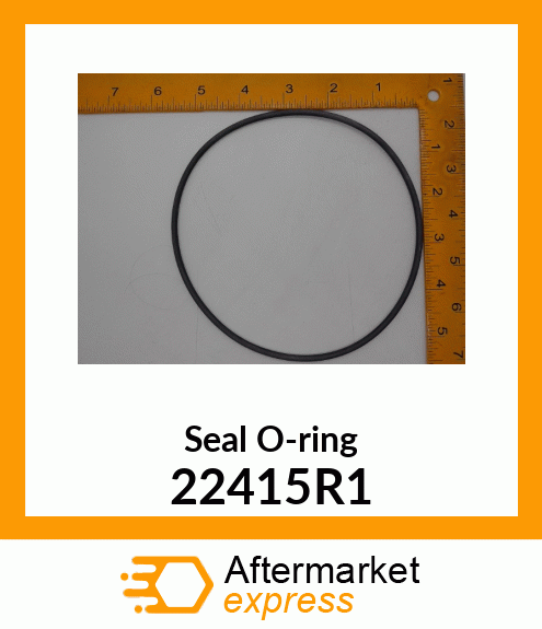 Seal O-ring 22415R1