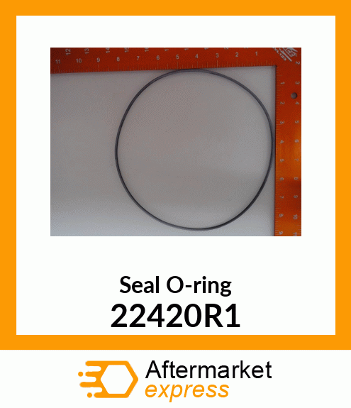 Seal O-ring 22420R1