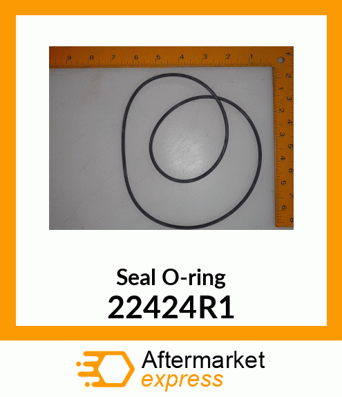 Seal O-ring 22424R1