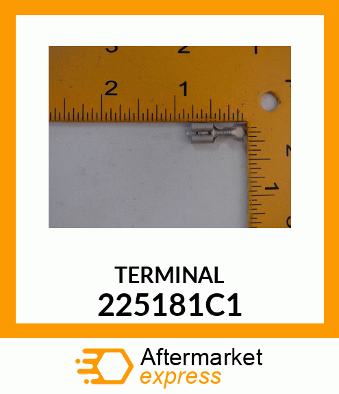 TERMINAL 225181C1