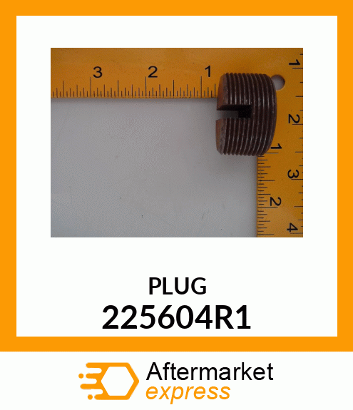 PLUG 225604R1