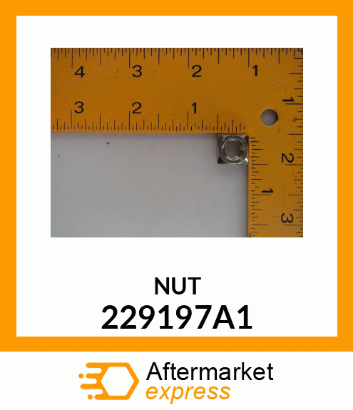 NUT 229197A1