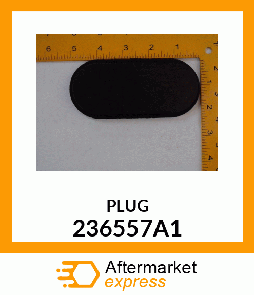 PLUG 236557A1