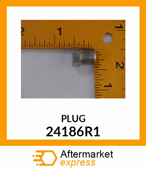 PLUG 24186R1