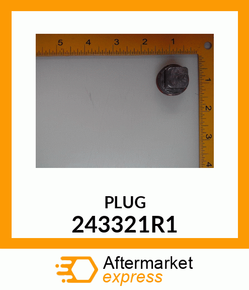 PLUG 243321R1