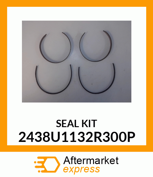 SEAL KIT 2438U1132R300P